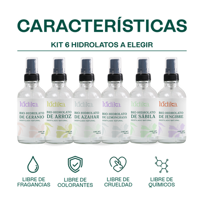 Kit 6 Hidrolatos en Spray 120 m | Esencia Floral Pura para Revitalizar y Calmar Piel y Cabello A elegir