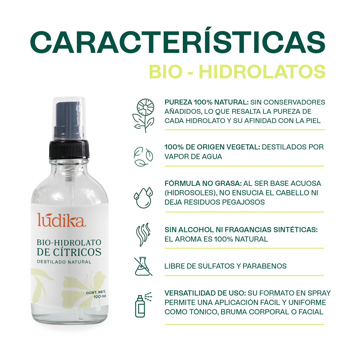 Kit 6 Hidrolatos en Spray 120 m | Esencia Floral Pura para Revitalizar y Calmar Piel y Cabello A elegir