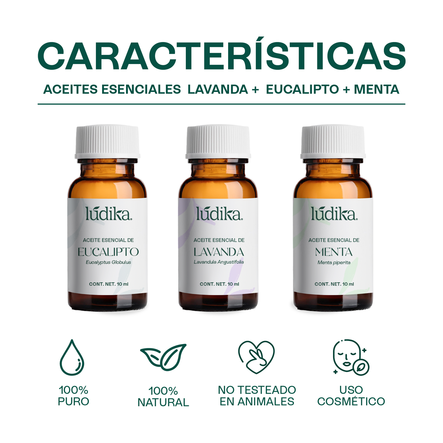 Kit Aceites Esenciales de Lavanda, Eucalipto, Menta | Facial, Spa y Aromaterapia | Calmante, Descongestionante y Equilibrante para Piel y Cabello