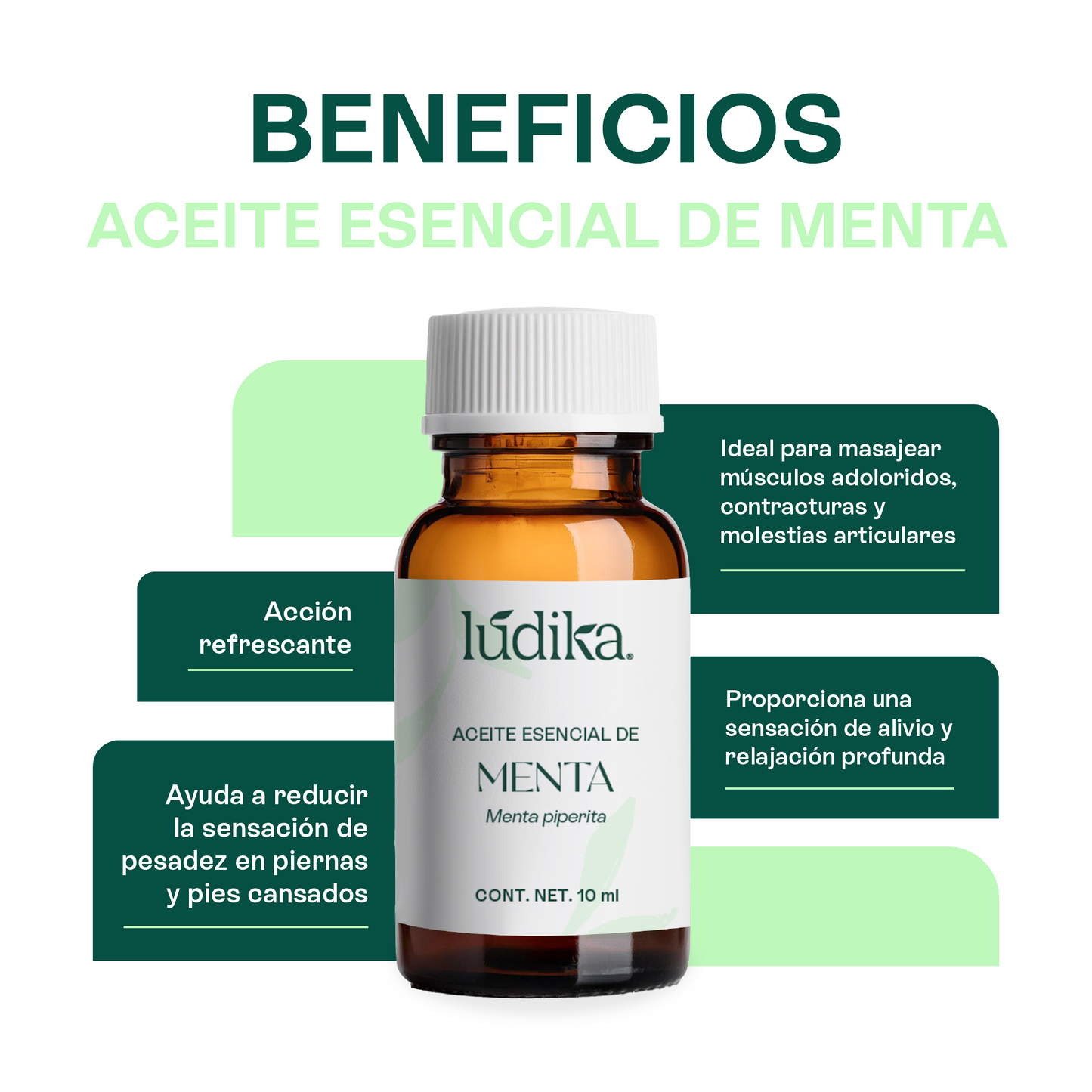Kit Aceites Esenciales de Lavanda, Eucalipto, Menta | Facial, Spa y Aromaterapia | Calmante, Descongestionante y Equilibrante para Piel y Cabello