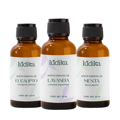 Kit Aceites Esenciales de Lavanda, Eucalipto, Menta | Facial, Spa y Aromaterapia | Calmante, Descongestionante y Equilibrante para Piel y Cabello