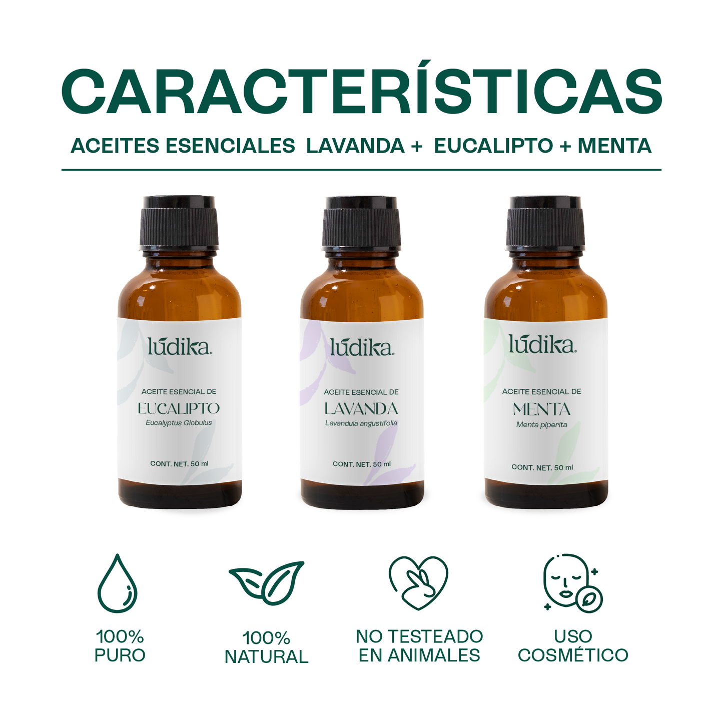 Kit Aceites Esenciales de Lavanda, Eucalipto, Menta | Facial, Spa y Aromaterapia | Calmante, Descongestionante y Equilibrante para Piel y Cabello