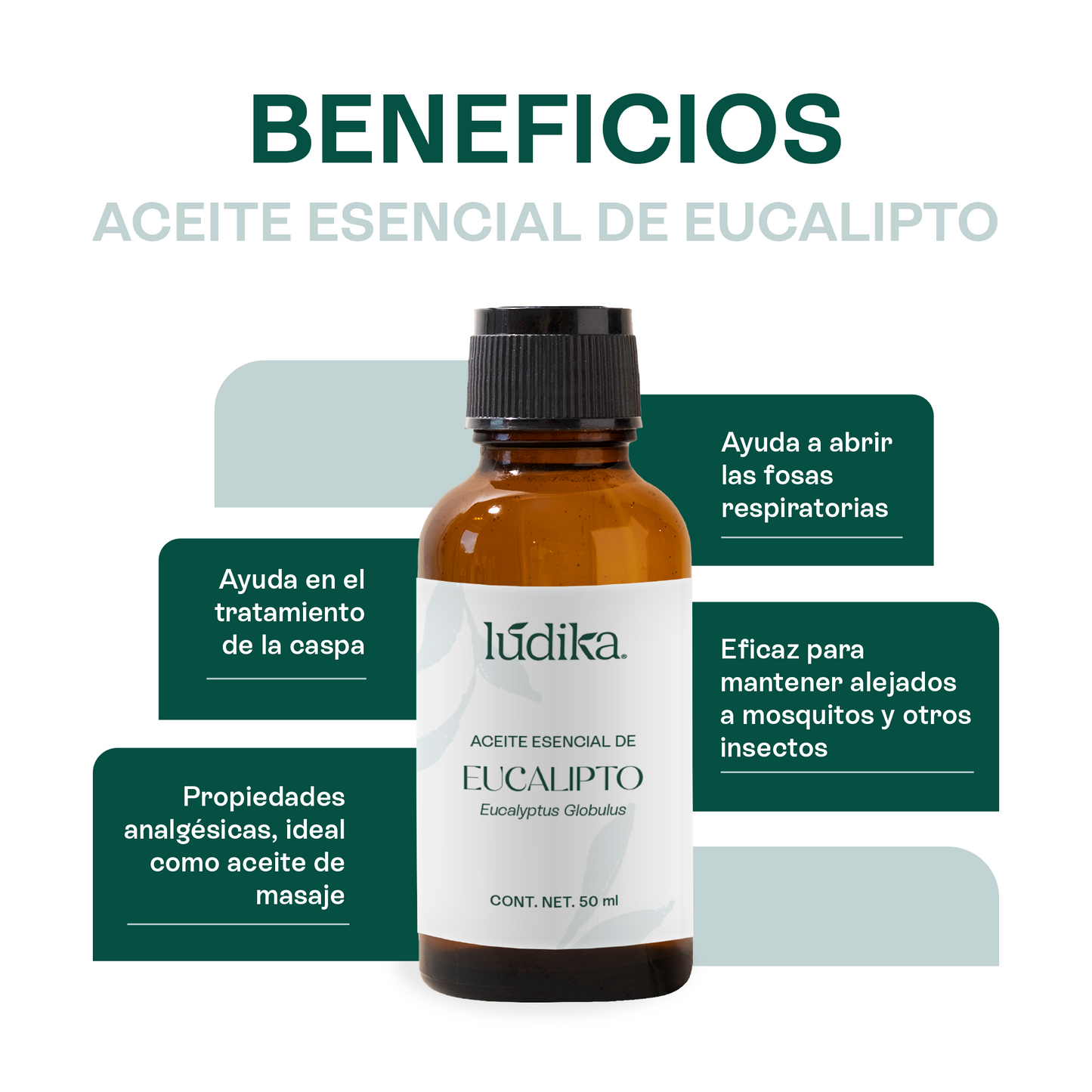 Kit Aceites Esenciales de Lavanda, Eucalipto, Menta | Facial, Spa y Aromaterapia | Calmante, Descongestionante y Equilibrante para Piel y Cabello