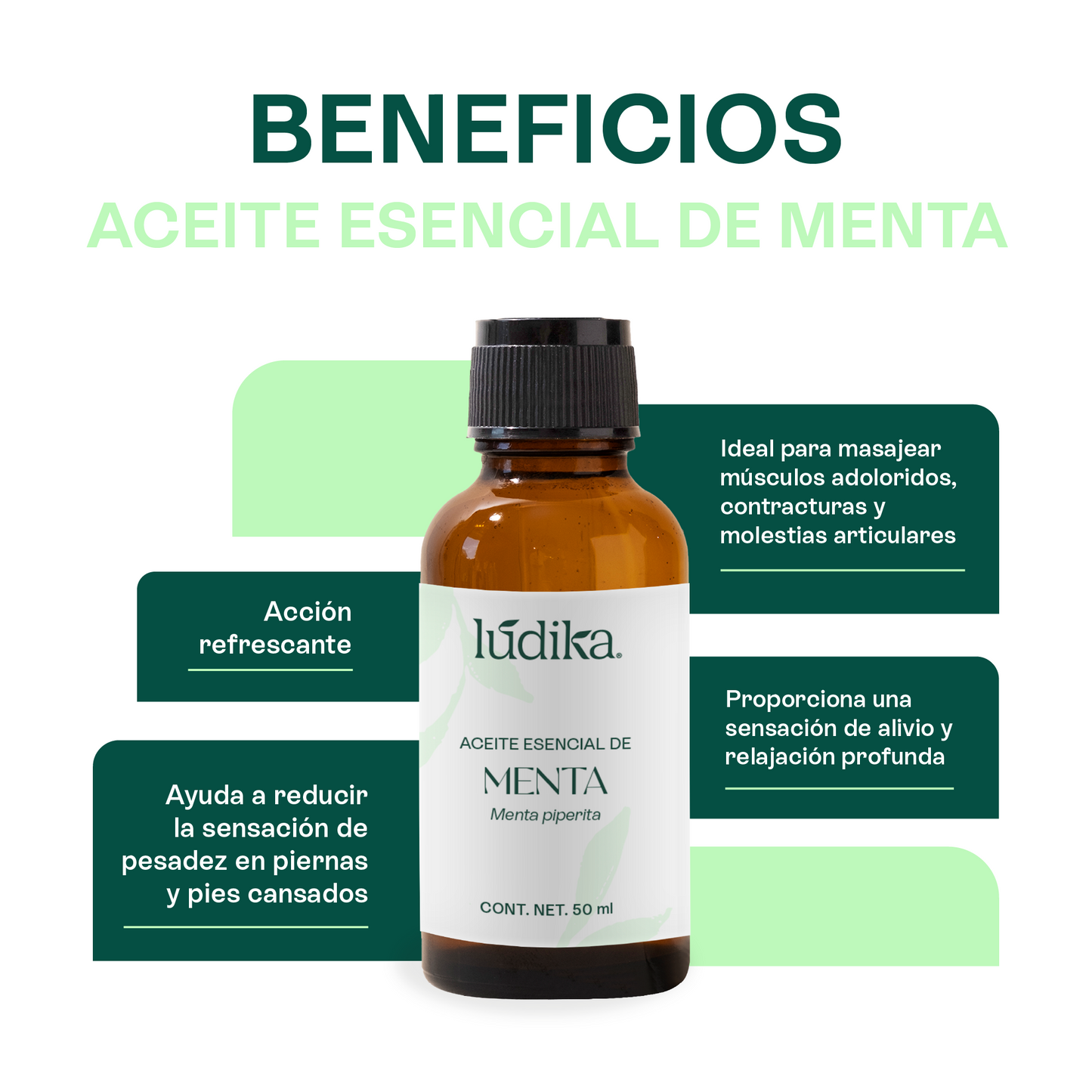 Kit Aceites Esenciales de Lavanda, Eucalipto, Menta | Facial, Spa y Aromaterapia | Calmante, Descongestionante y Equilibrante para Piel y Cabello