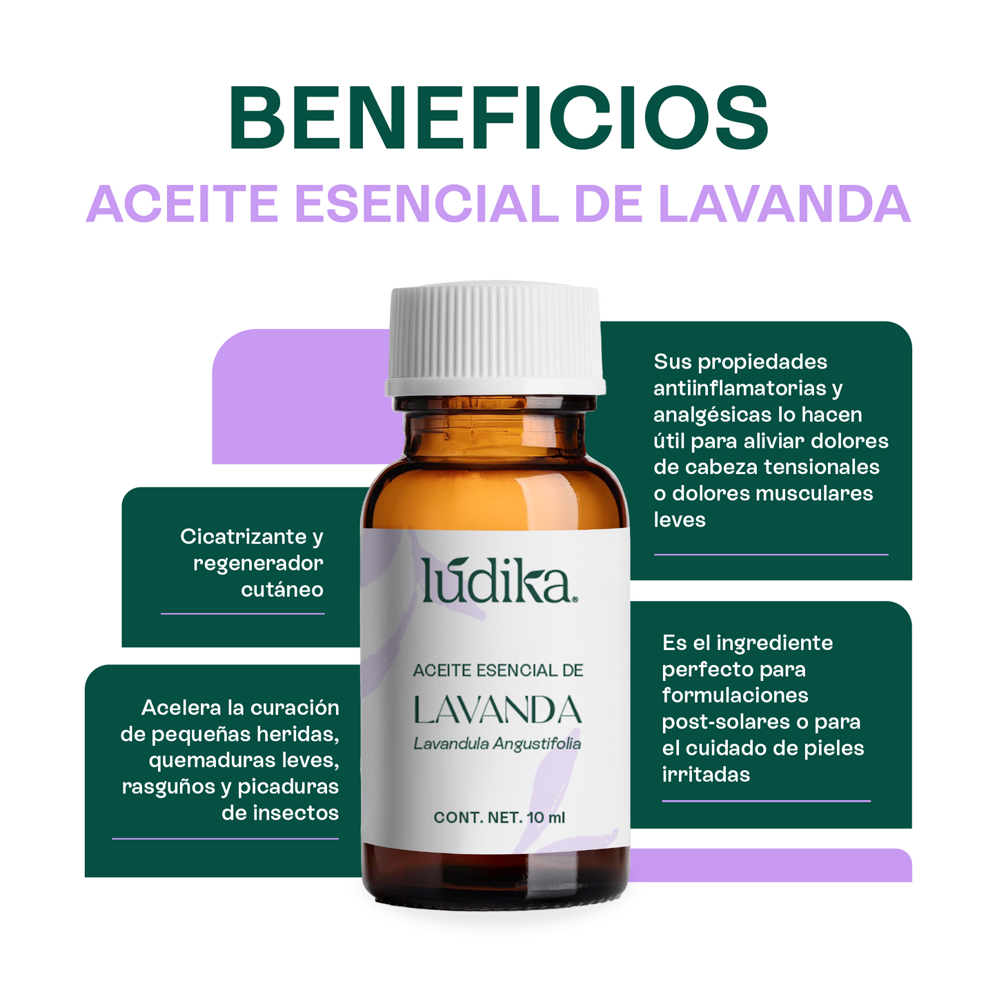 Kit Aceites Esenciales de Lavanda, Eucalipto, Romero | Facial, Spa y Aromaterapia | Calmante, Regenerador Cutáneo y Equilibrante para Piel, Cabello y Mente