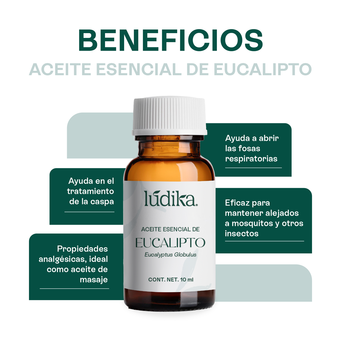 Kit Aceites Esenciales de Lavanda, Eucalipto, Romero | Facial, Spa y Aromaterapia | Calmante, Regenerador Cutáneo y Equilibrante para Piel, Cabello y Mente