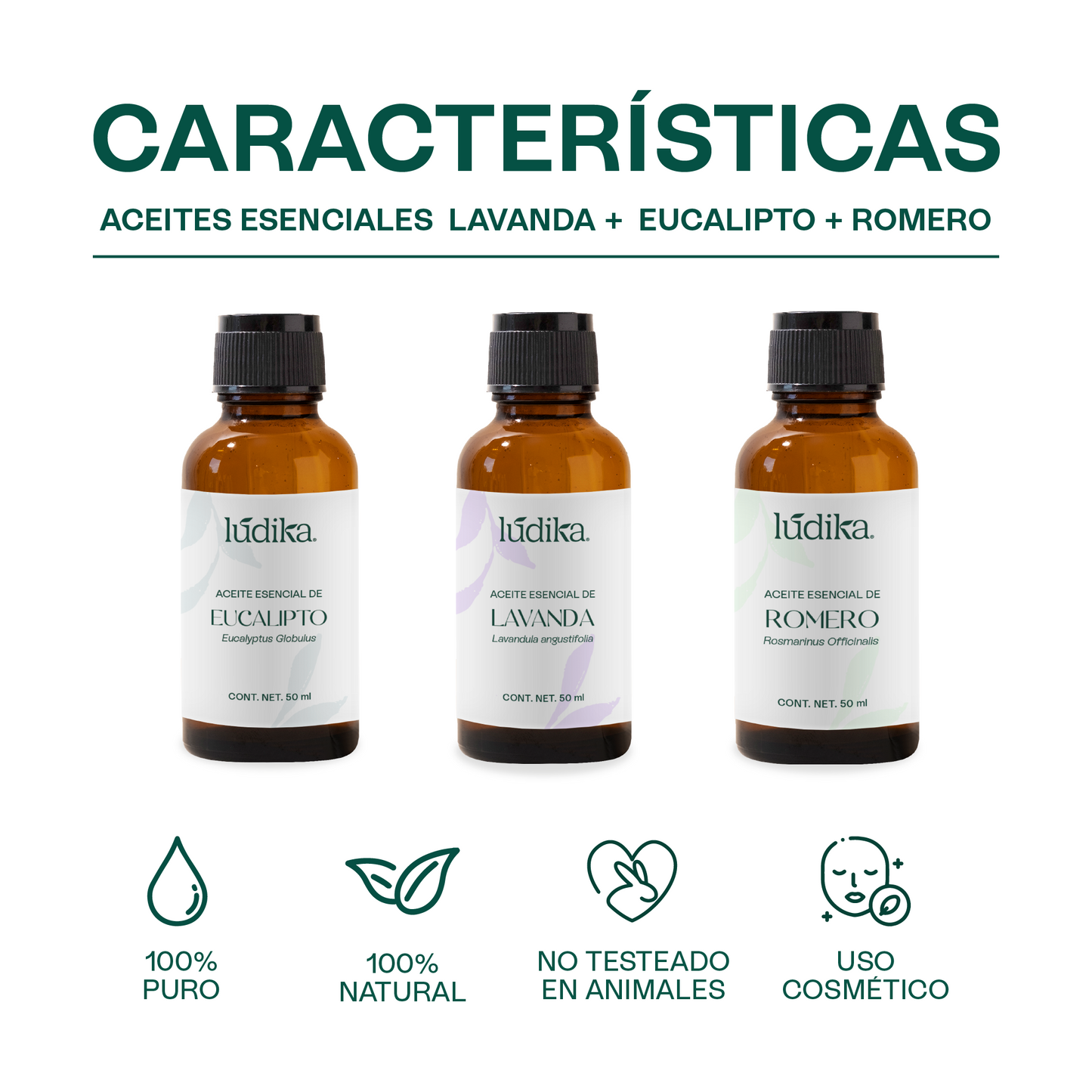 Kit Aceites Esenciales de Lavanda, Eucalipto, Romero | Facial, Spa y Aromaterapia | Calmante, Regenerador Cutáneo y Equilibrante para Piel, Cabello y Mente