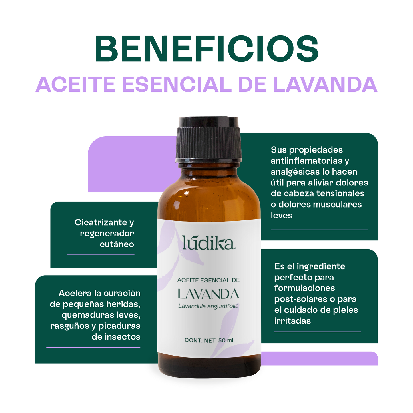 Kit Aceites Esenciales de Lavanda, Eucalipto, Romero | Facial, Spa y Aromaterapia | Calmante, Regenerador Cutáneo y Equilibrante para Piel, Cabello y Mente