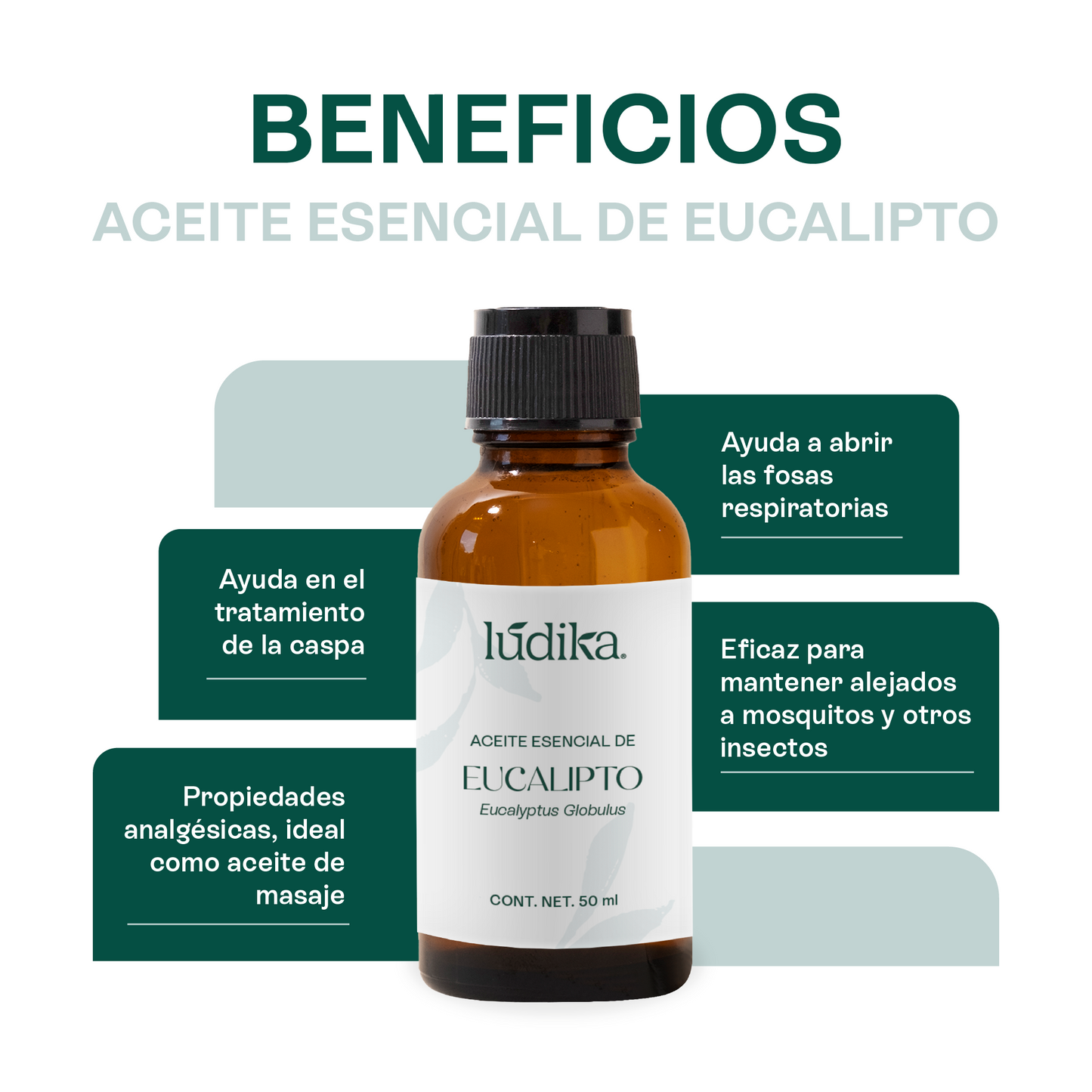 Kit Aceites Esenciales de Lavanda, Eucalipto, Romero | Facial, Spa y Aromaterapia | Calmante, Regenerador Cutáneo y Equilibrante para Piel, Cabello y Mente