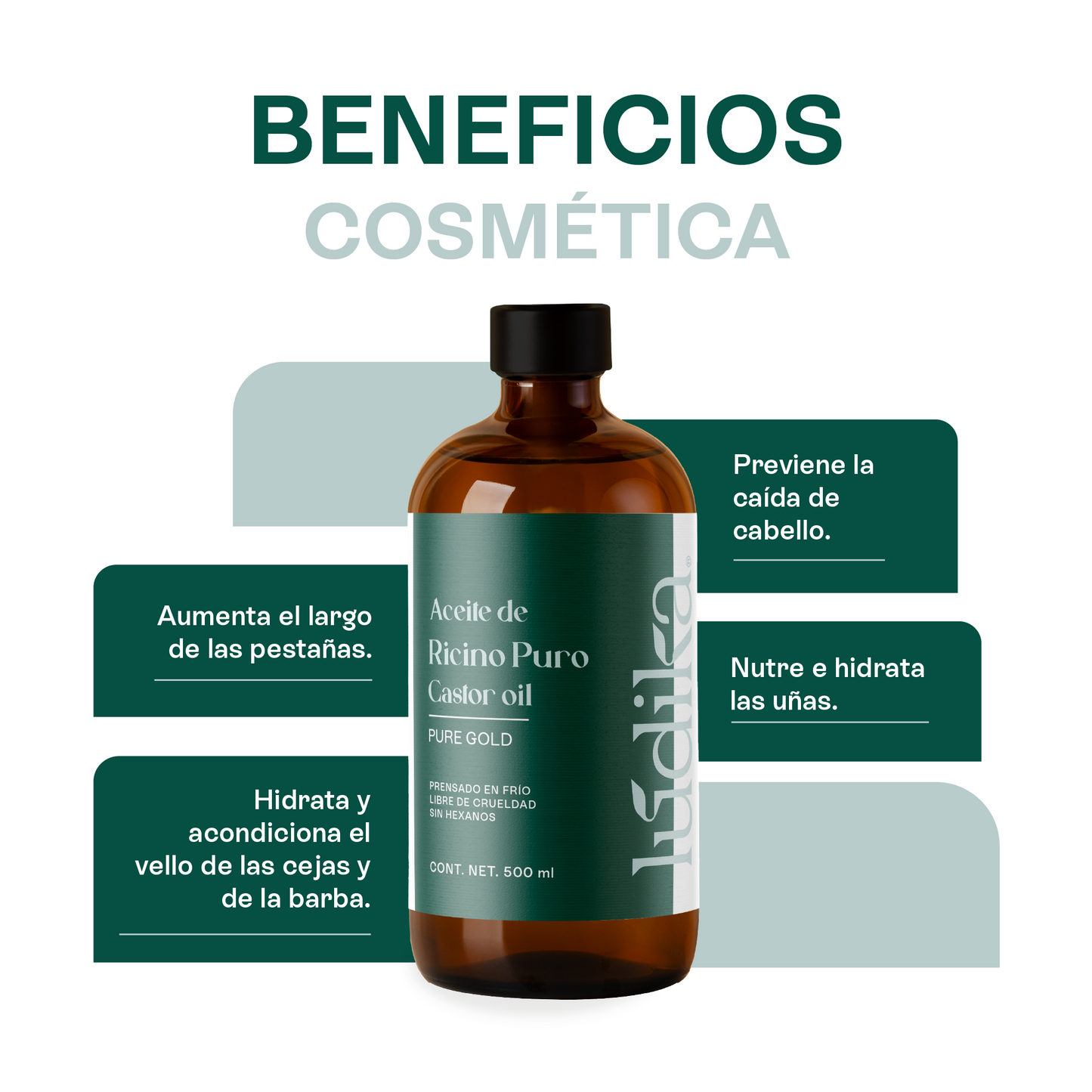 Dúo de Aceites | Aceite de Ricino y Coco Líquido | Hidratación Profunda, Masaje y Nutrición Capilar