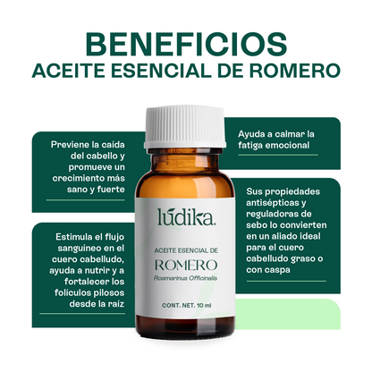 Kit Aceites Esenciales de Lavanda, Menta, Romero | Facial, Spa y Aromaterapia | Calmante, Estimulante y Equilibrante para Piel, Cabello y Mente