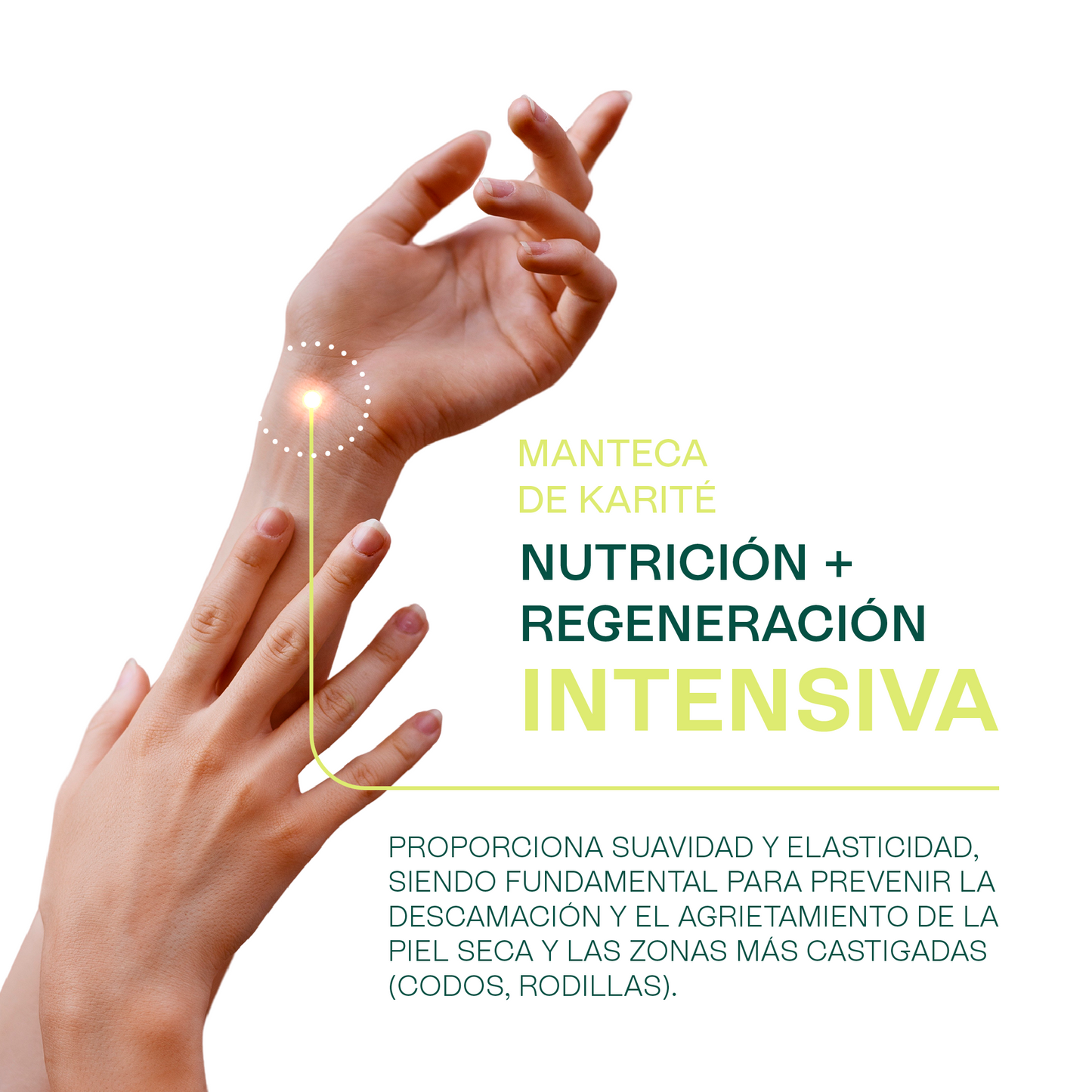 Kit mamá | Aceite de Rosa Mosqueta, Jojoba y Karité | Hidratación Antiedad y Nutrición Integral para Piel y Cabello