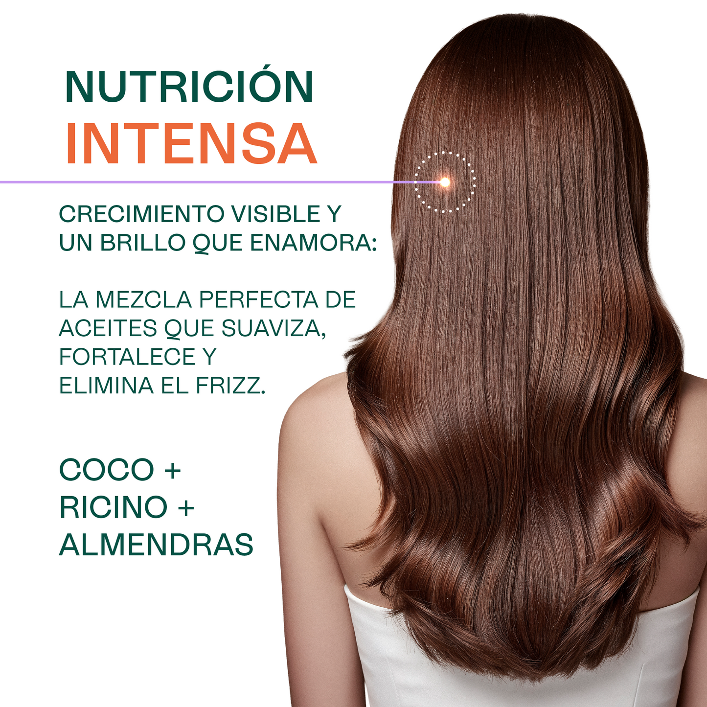 Kit 3 aceites capilares | Aceites de Ricino, Almendras Dulces y Coco Fraccionado | Piel, Cabello y Masajes