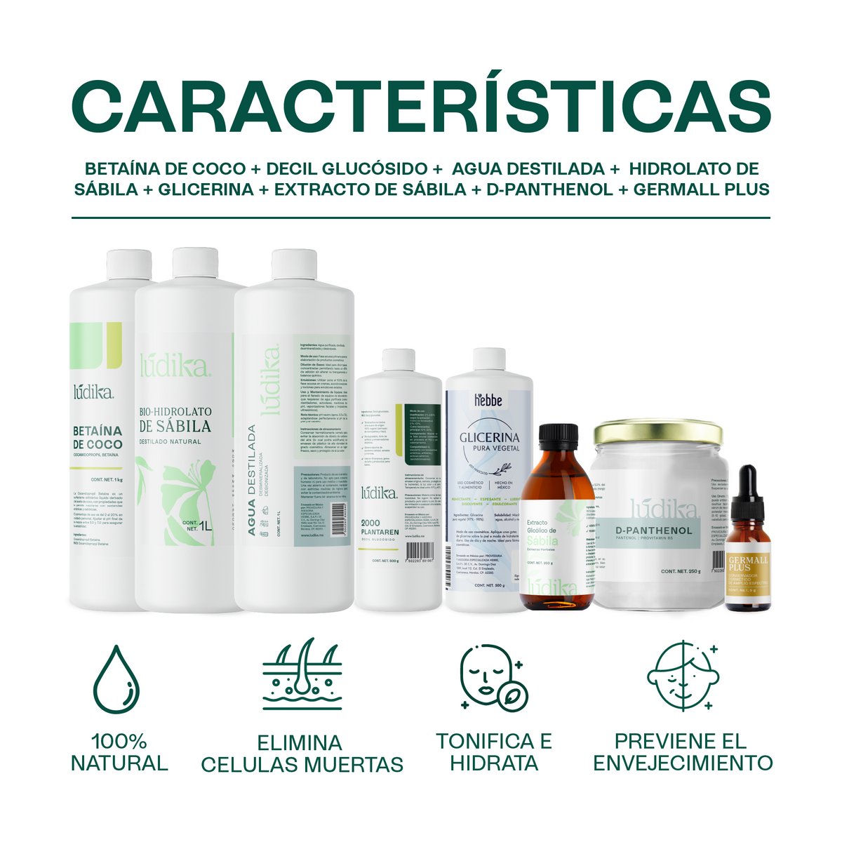 1 kg