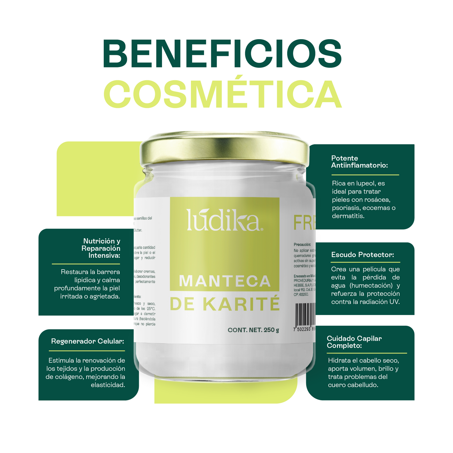 Manteca de Karité | Cuerpo, Rostro y Cabello | Emoliente, Reparadora y Protectora
