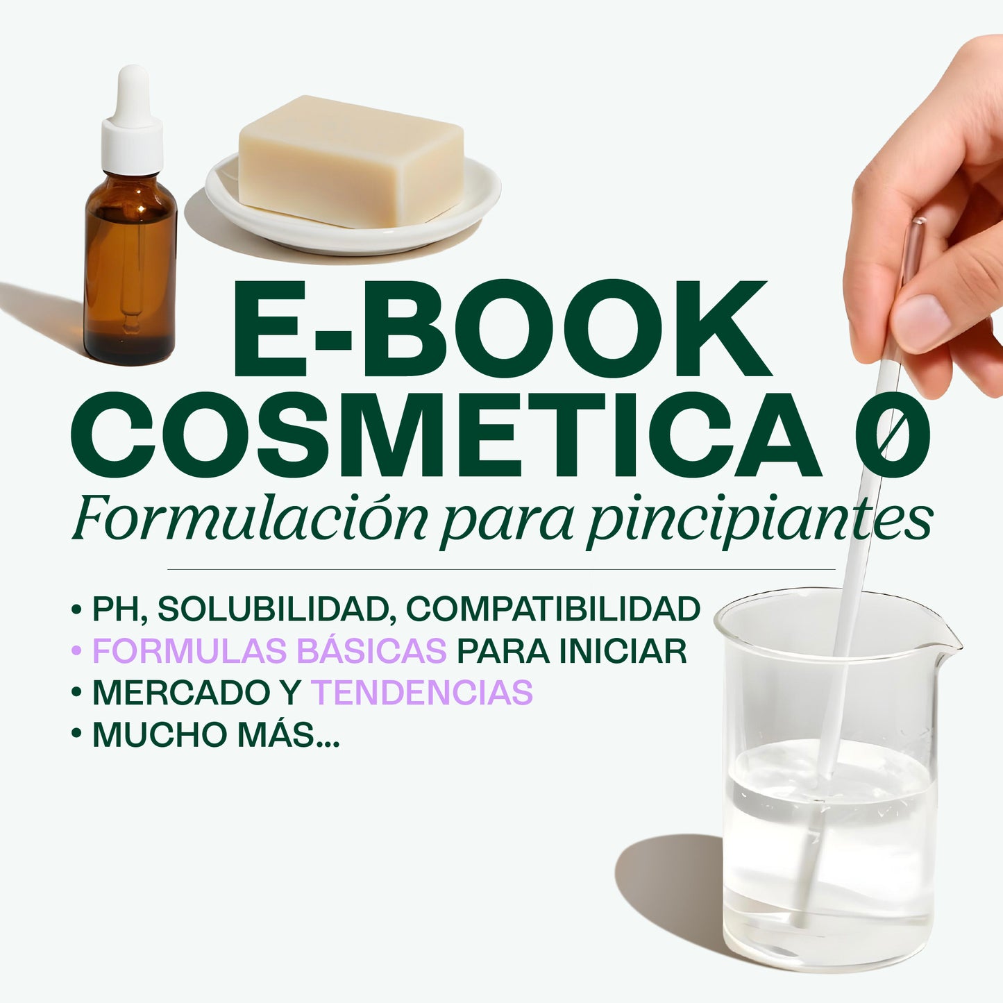 Ebook - Fundamentos para Aprender a formular desde 0