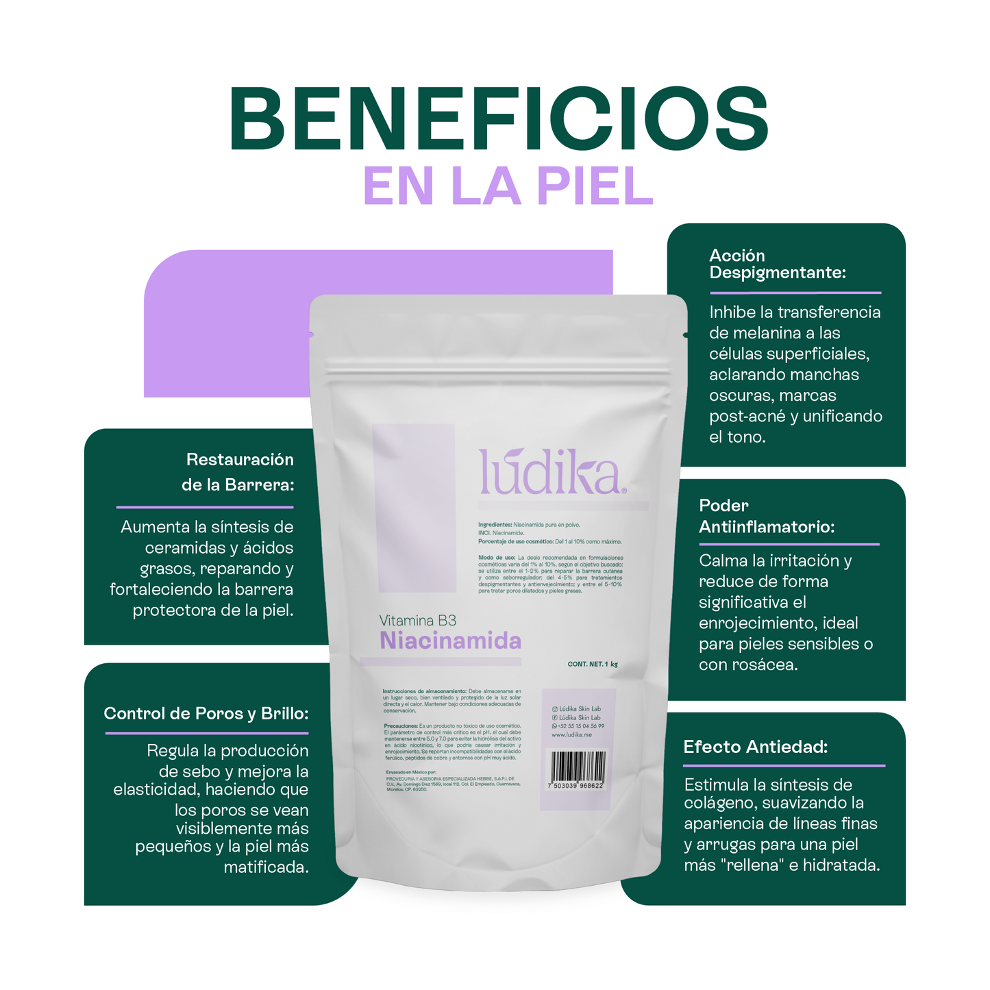 Niacinamida (Vitamina B3) | Facil y Capilar | Multiacción Control de Sebo, Poros y Manchas