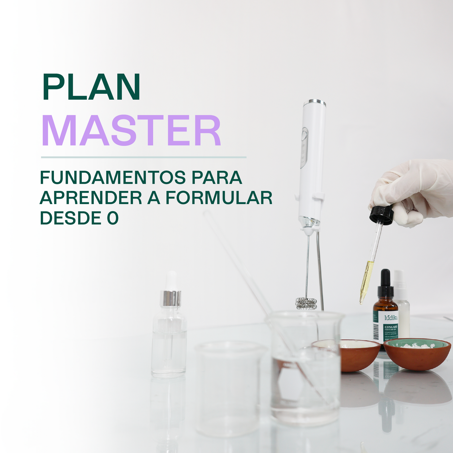 Plan master Fundamentos para Aprender a formular desde 0