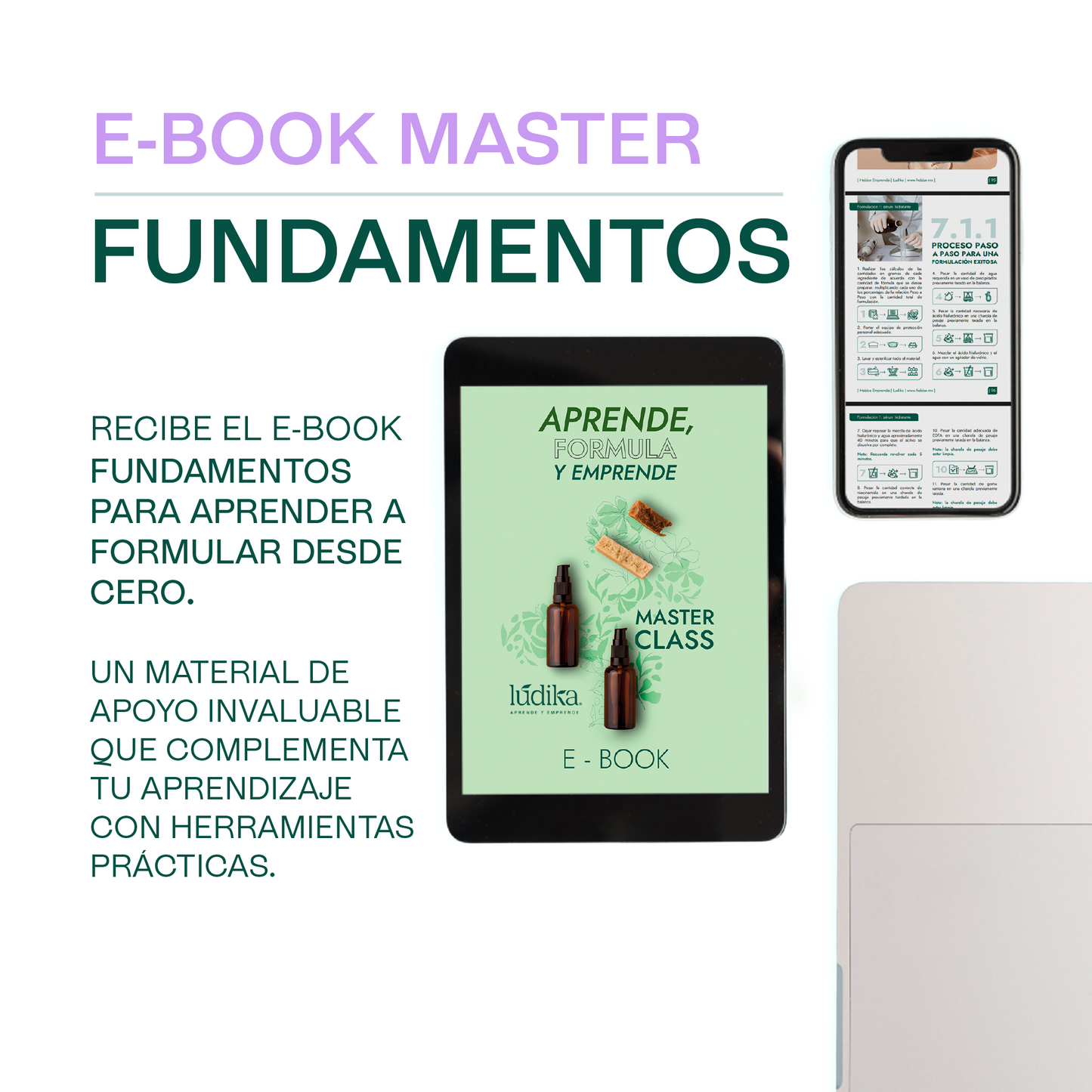 Plan master Fundamentos para Aprender a formular desde 0