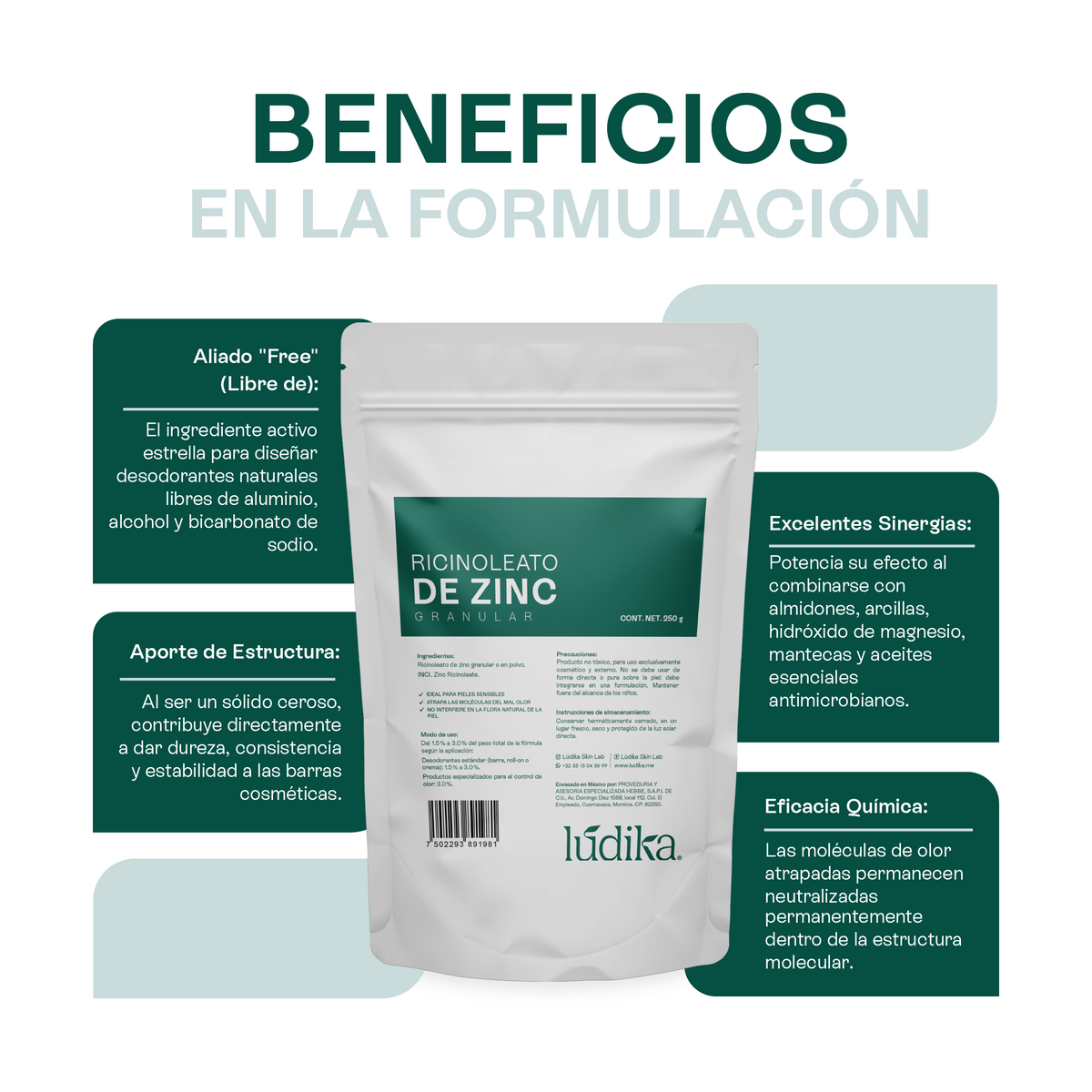 Ricinoleato de Zinc | Agente Desodorante Natural | Neutralizador Molecular de Olores