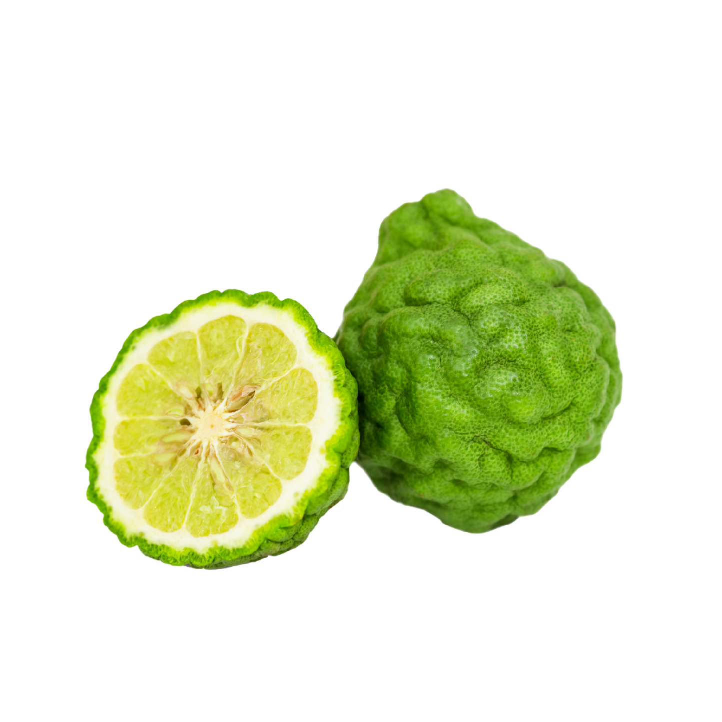Fragancia de Bergamota Lúdika | Aroma Cítrico, Vibrante y Fresco