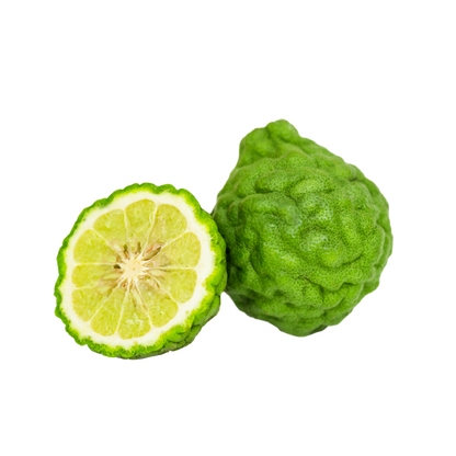 Fragancia de Bergamota Lúdika | Aroma Cítrico, Vibrante y Fresco
