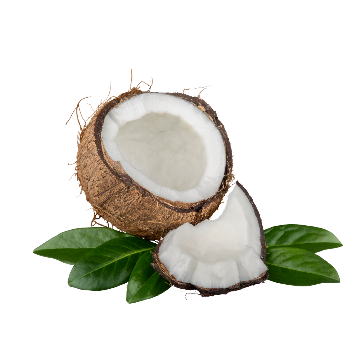 Fragancia de Coco | Aroma Dulce, Exótico y Tropical para tu Piel y Productos
