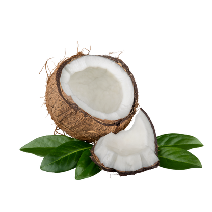 Fragancia de Coco | Aroma Dulce, Exótico y Tropical para tu Piel y Productos