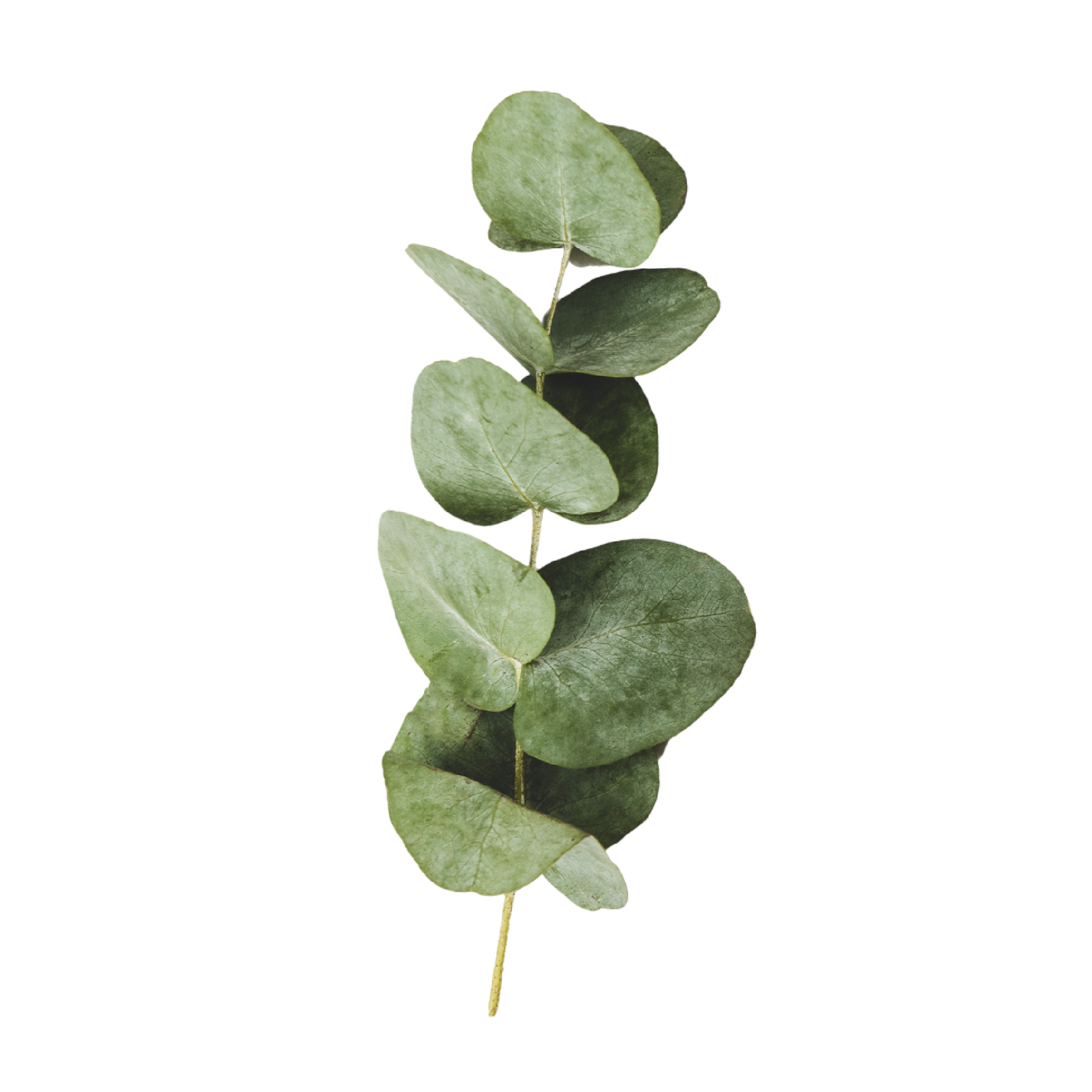 100 g