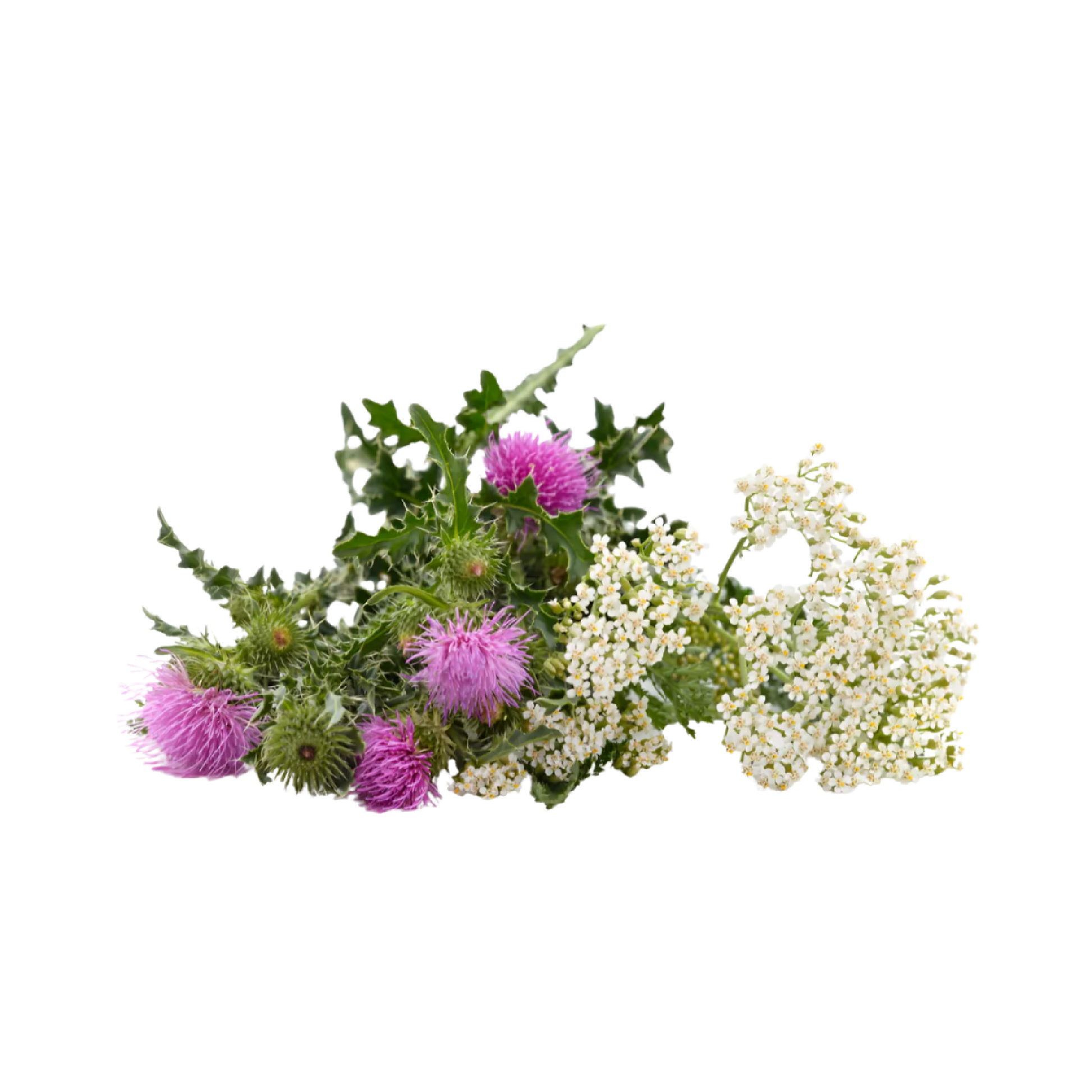 100 g