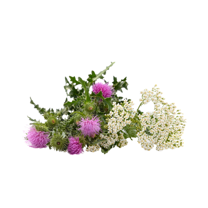 Fragancia Floral | Aroma Clásico, Dulce y Romántico