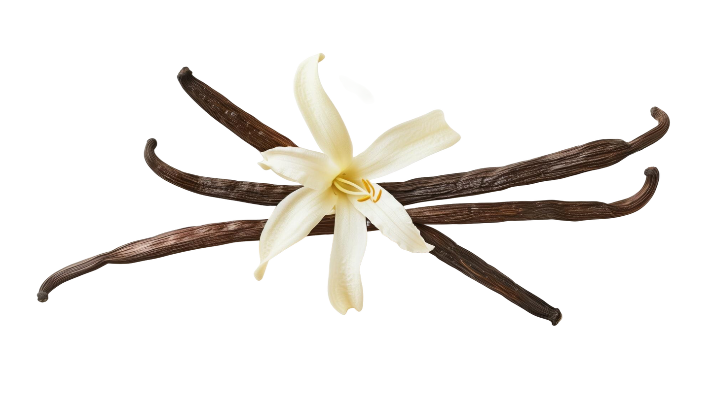 Fragancias Bienestar | Ambientación y Relajación | Velas, Difusores y Jabones