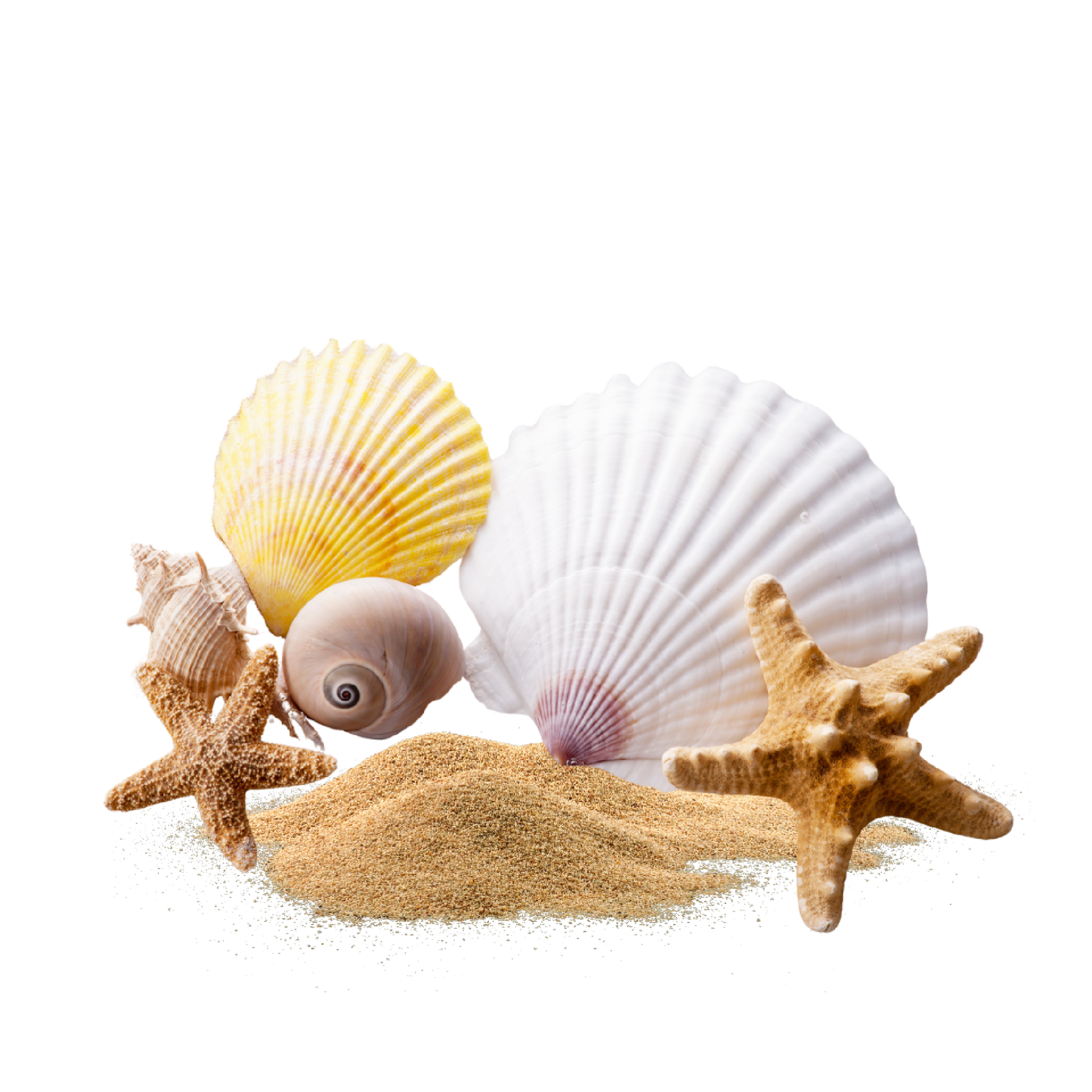 Fragancia de Mar Fresco | Aroma a Salitre, Brisa Marina y Libertad
