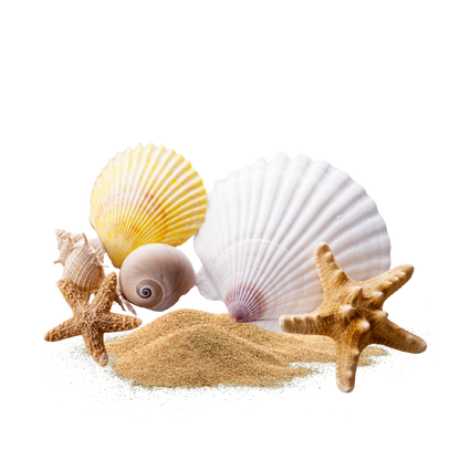 Fragancia de Mar Fresco | Aroma a Salitre, Brisa Marina y Libertad