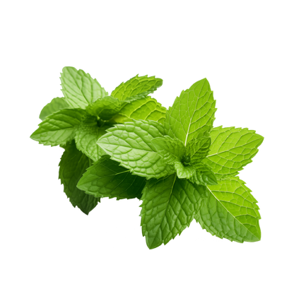Fragancia de Menta | Aroma Fresco, Dulce y Revitalizante
