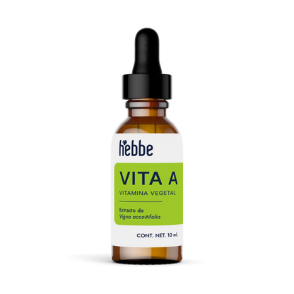 Retinol Vegetal (Vit-A-Like) | Activo Antiedad | Renovación Celular y Alta Tolerancia