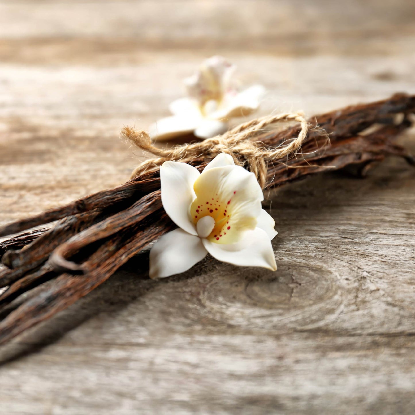 Fragancia de Vainilla Francesa | Aroma Dulce, Acogedor y Sofisticado