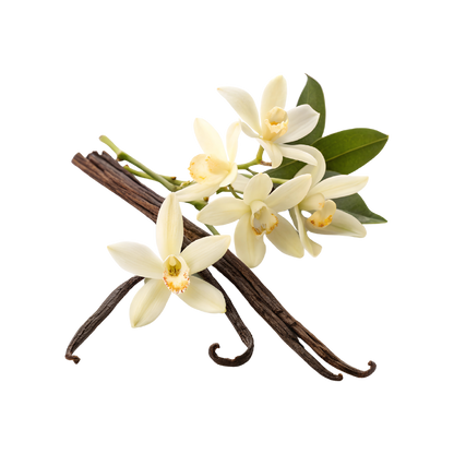 Fragancia de Vainilla Francesa | Aroma Dulce, Acogedor y Sofisticado